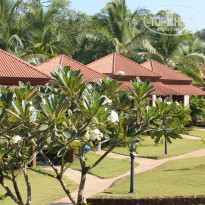 фото из отзыва ID 892165