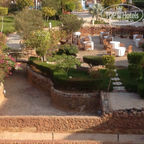 фото из отзыва ID 892339