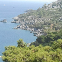 фото из отзыва ID 892460