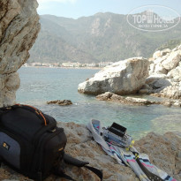 фото из отзыва ID 892460