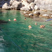 фото из отзыва ID 892460