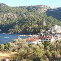 фото из отзыва ID 892460