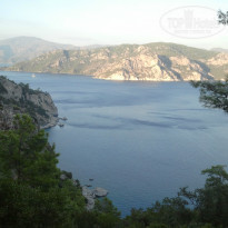 фото из отзыва ID 892460