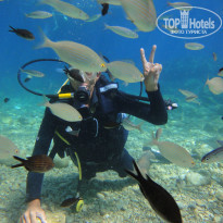 фото из отзыва ID 892460