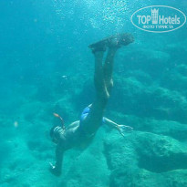 фото из отзыва ID 892460