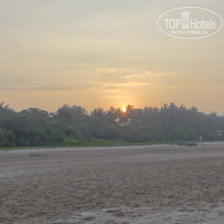 фото из отзыва ID 892481