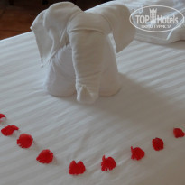 фото из отзыва ID 892481