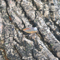 фото из отзыва ID 892496