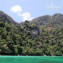 фото из отзыва ID 892535