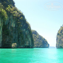 фото из отзыва ID 892535