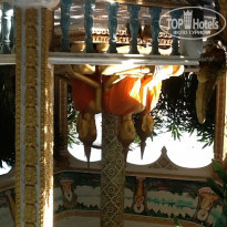 фото из отзыва ID 892553