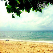 фото из отзыва ID 892686