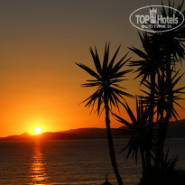 фото из отзыва ID 892862