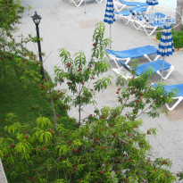 фото из отзыва ID 892861