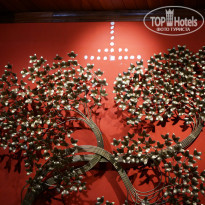 фото из отзыва ID 892959