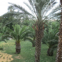 фото из отзыва ID 892981