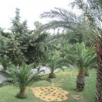 фото из отзыва ID 892981