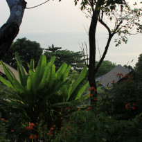 фото из отзыва ID 892456