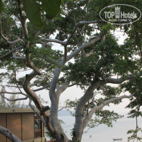 фото из отзыва ID 892456