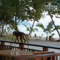 фото из отзыва ID 892669