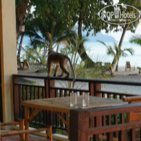 фото из отзыва ID 892669