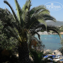 фото из отзыва ID 893136