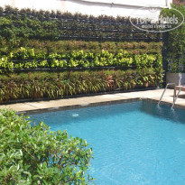 фото из отзыва ID 893137