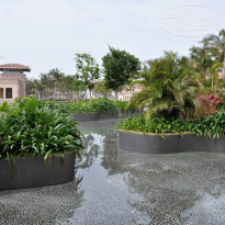 фото из отзыва ID 893153