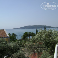 фото из отзыва ID 893301