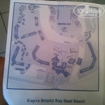 фото из отзыва ID 893317