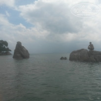 фото из отзыва ID 893368