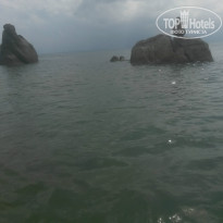 фото из отзыва ID 893368