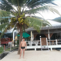 фото из отзыва ID 893368