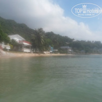 фото из отзыва ID 893368