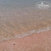 фото из отзыва ID 893240