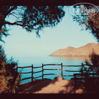 фото из отзыва ID 893570