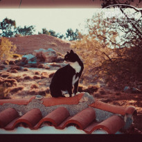 фото из отзыва ID 893570