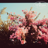 фото из отзыва ID 893570