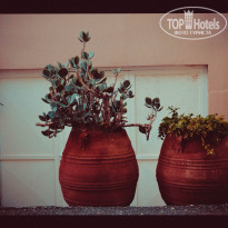 фото из отзыва ID 893570