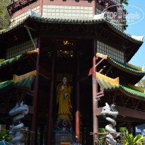 фото из отзыва ID 893878