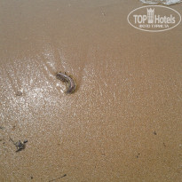 фото из отзыва ID 893978