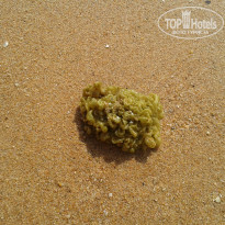 фото из отзыва ID 893978