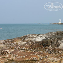 фото из отзыва ID 894100