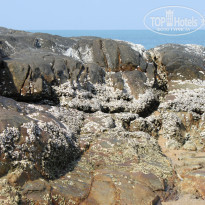 фото из отзыва ID 894100