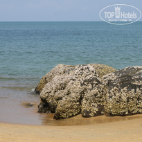 фото из отзыва ID 894100