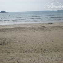 фото из отзыва ID 894114