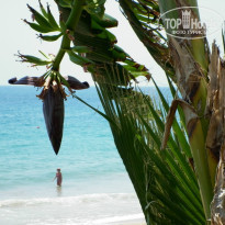 фото из отзыва ID 894143