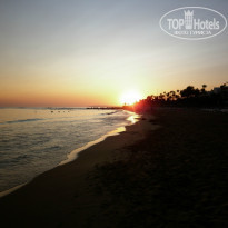 фото из отзыва ID 894143