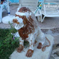 фото из отзыва ID 894153