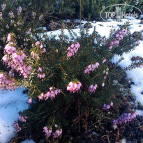 фото из отзыва ID 894265